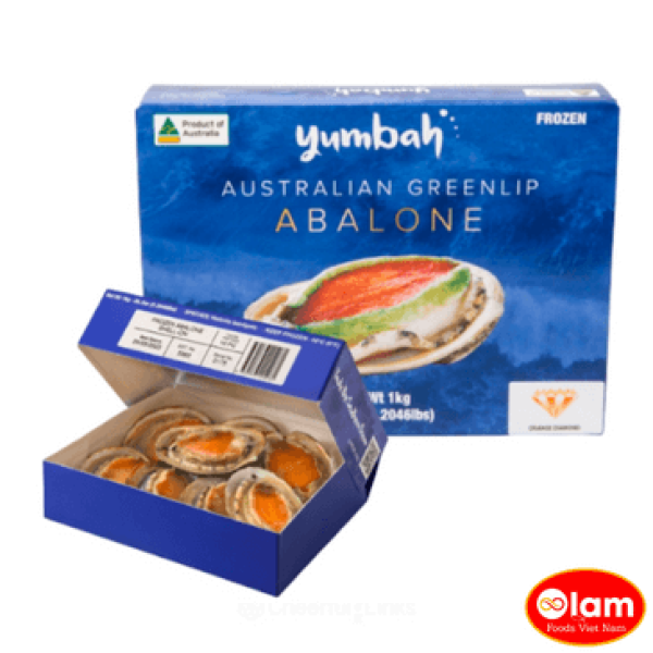 Abalone Bào Ngư Vân Hổ / Whole Frozen Yumbah Tiger Abalone