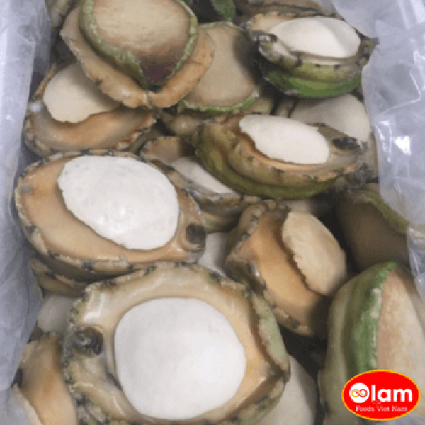 Thịt Bào Ngư Úc Đông Lạnh / Frozen Abalone Meat