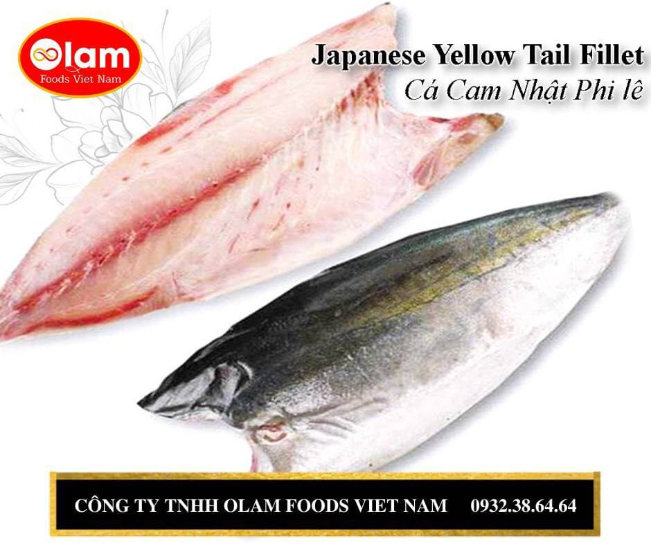 Cá Cam Nhật phi lê  ブリの切り身 / Yellow Tail Kampachi Fillet