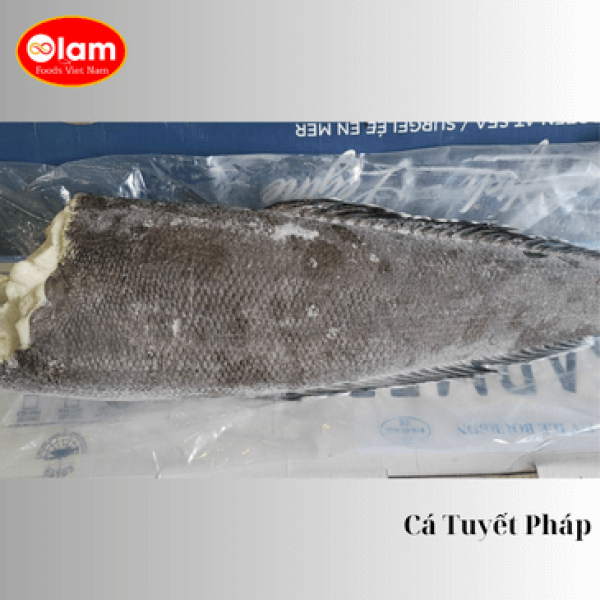 Cá Tuyết Pháp / Wild Chilean Seabass / Patagonia Toothfish (Silver/White Cod)