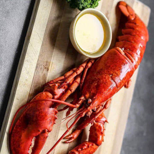 Tôm hùm Canada hấp chín đông lạnh / FZ CANADA WHOLE  COOKED LOBSTER Homarus Americanus (American Lobster)