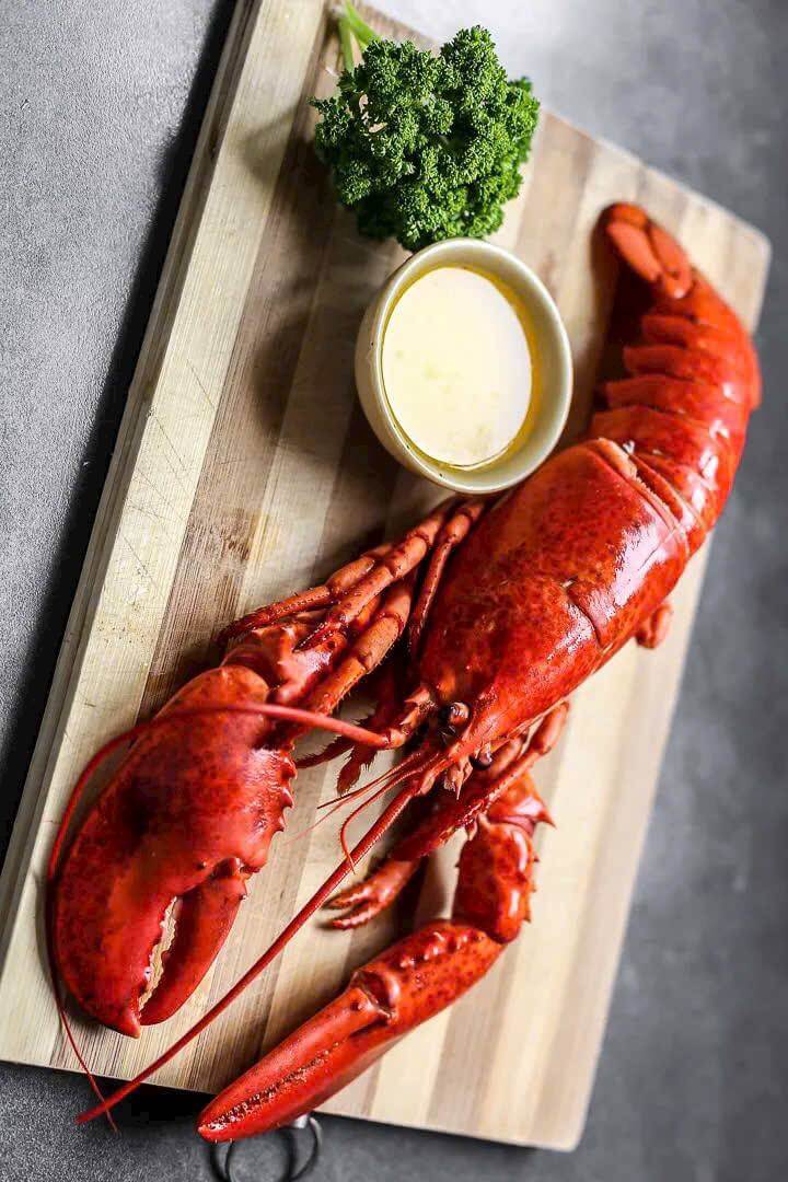 Tôm hùm Canada hấp chín đông lạnh / FZ CANADA WHOLE  COOKED LOBSTER Homarus Americanus (American Lobster)