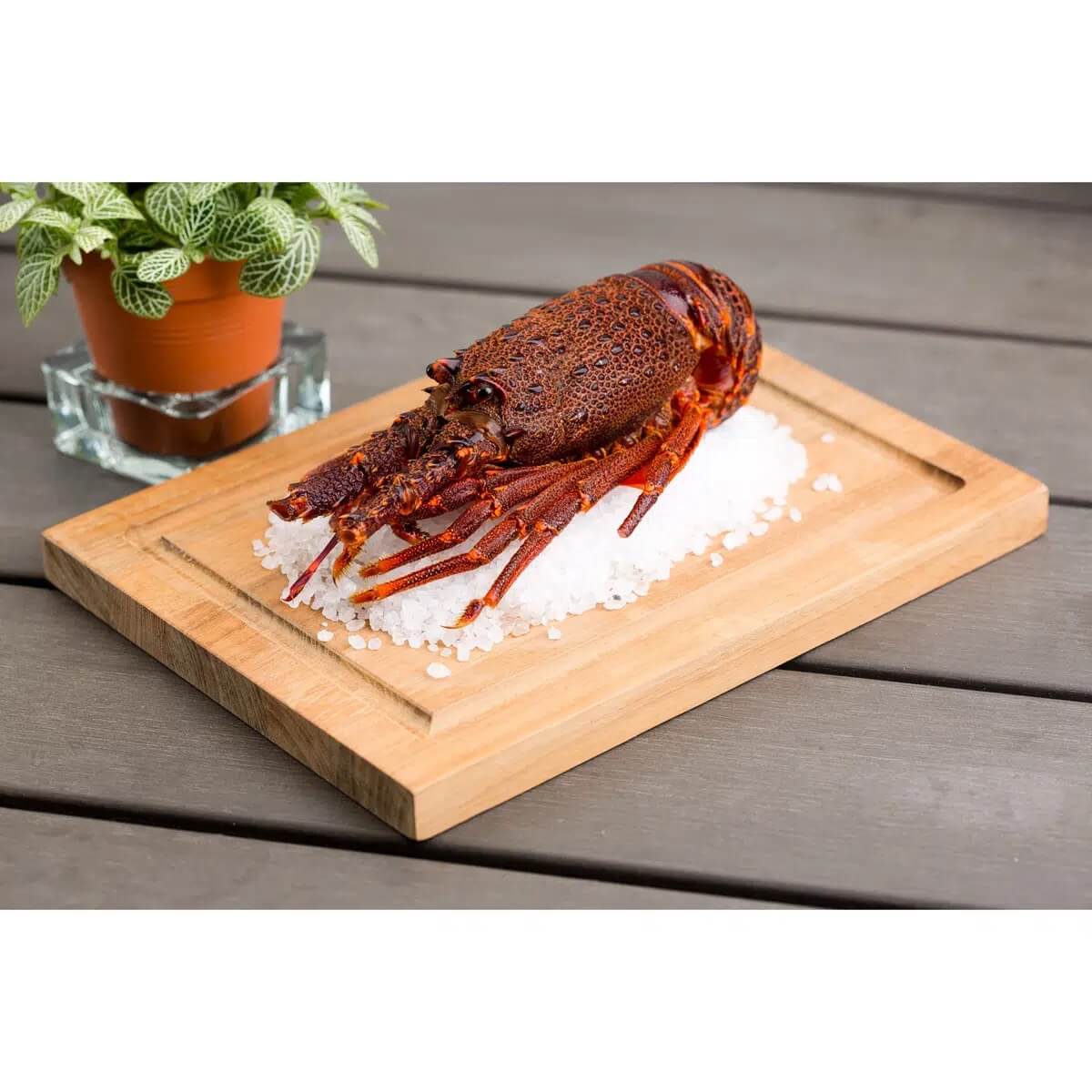 Tôm hùm Úc tươi đông lạnh /  Frozen  Whole Brolos Western Rock Lobster