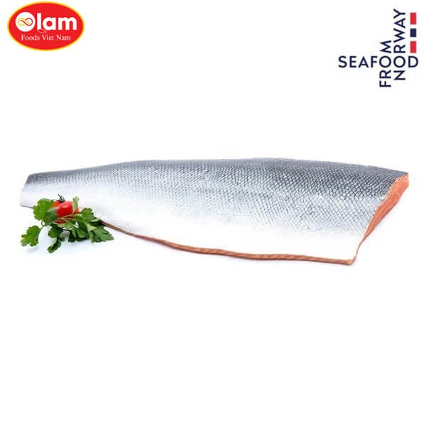 Cá hồi tươi Fillet / Norwegian Salmon Fish Fillet