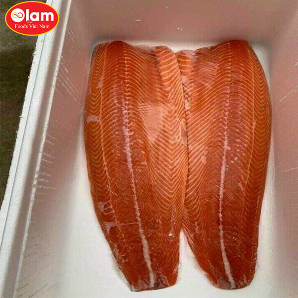 Cá hồi tươi Fillet / Norwegian Salmon Fish Fillet
